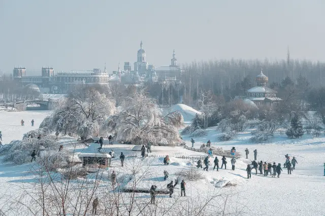 Rime Viewing in Harbin