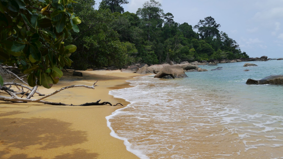 Tanjung Datu National Park