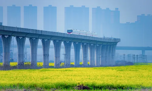 Rapeseed Flowers Viewing in Wuhan