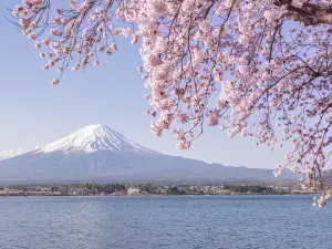 富士山五合目