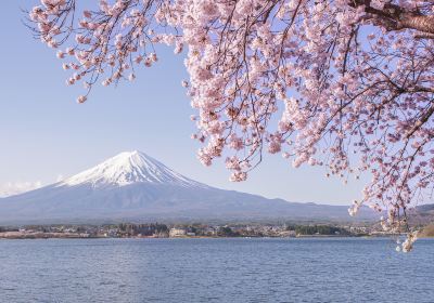 Mt.Fuji 5th station