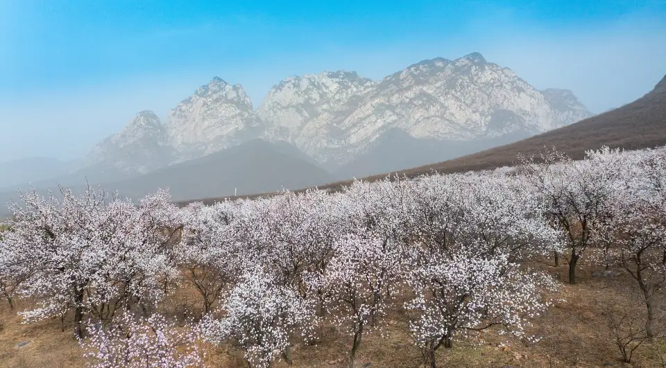 2_Songshan Scenic Area