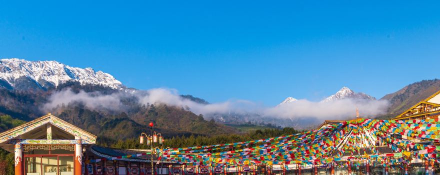Shenmulei