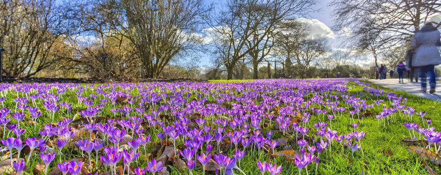 Richmond upon Thames