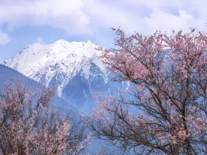雅魯藏布大峽谷
