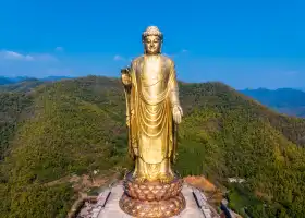 中原大佛景區