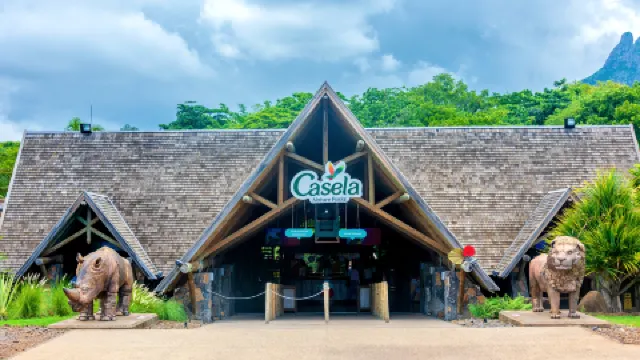 毛里求斯零点的钟声，为何总让我想起那年夏天？