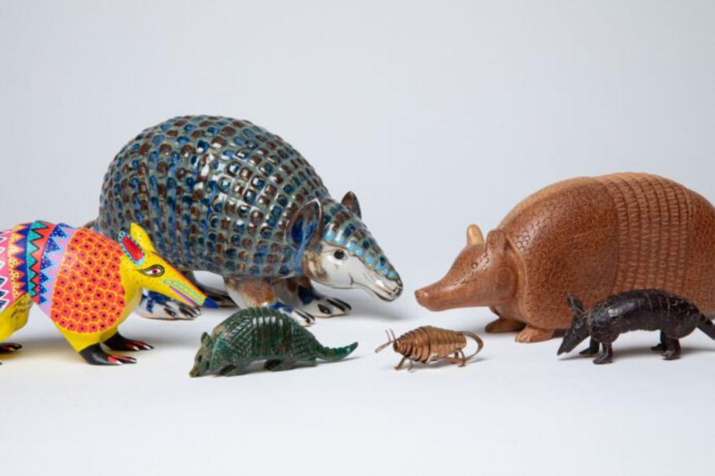 Tuck and Roll: The Art of Armadillos | Mingei International Museum