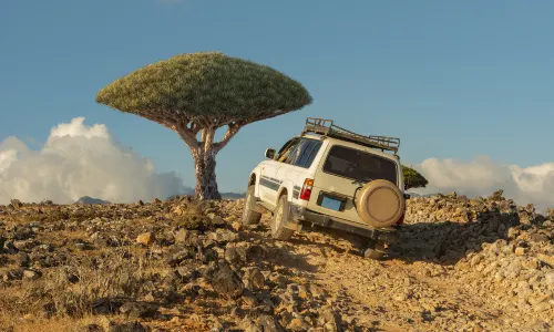 Socotra