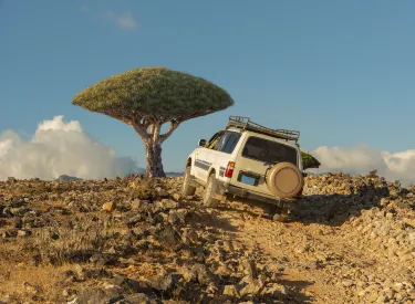 Socotra