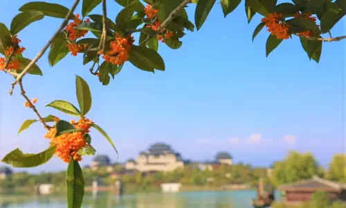 Xinghan Scenic Spot