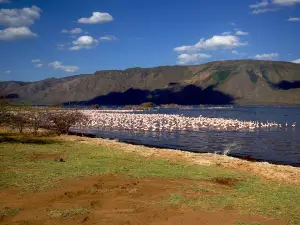 Lake Bogoria