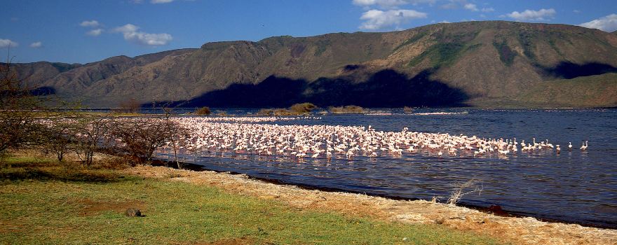 Lake Bogoria