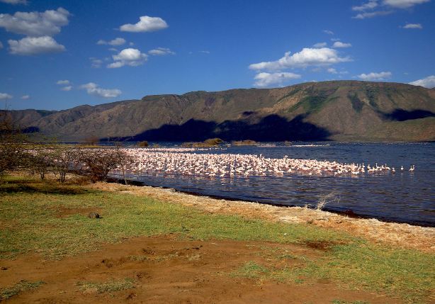 Lake Bogoria
