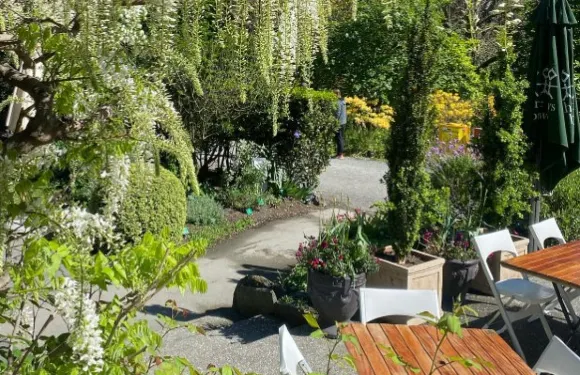 Curator's House Restaurant