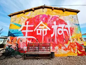 生命樹取景點(柯魯柯鎮)