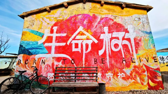 Tree of Life Filming Location (Keluke Town)