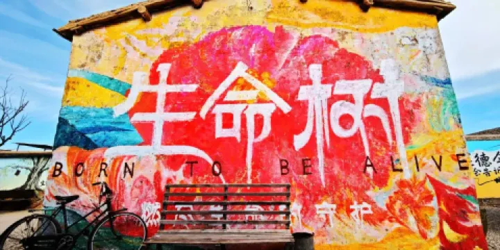 生命樹取景點（柯魯柯鎮）