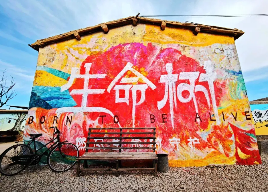 Tree of Life Filming Location (Keluke Town)