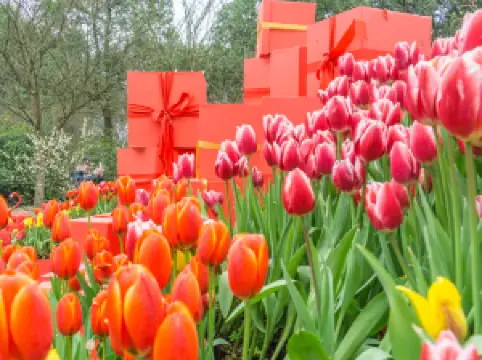 Nanshan Botanical Garden