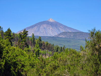 Corona Forestal Natural Park