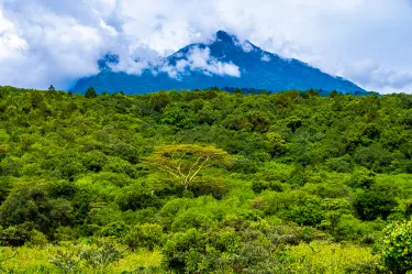 Arumeru