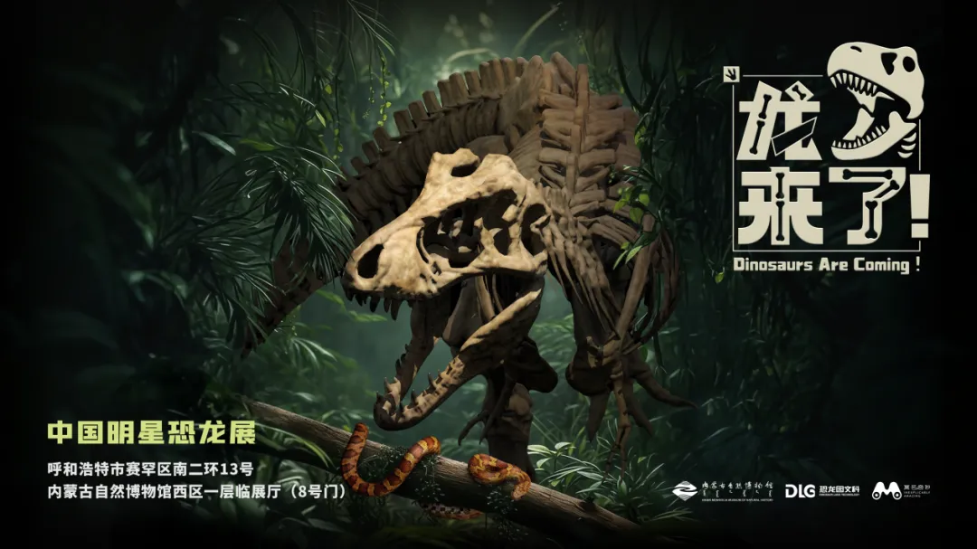 《龍來了！》中國明星恐龍展 | 內蒙古自然博物館