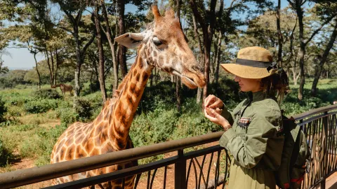 長頸鹿中心 attraction in 奈洛比