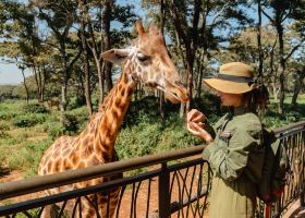 Voli diretti per Nairobi