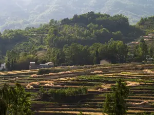 Fengyan Ancient Terraced Fields