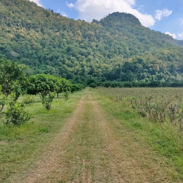 บ้านชายเขา สวิตเซอร์แลนด์ แห่งอุทัยธานี