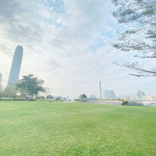 極大草地！