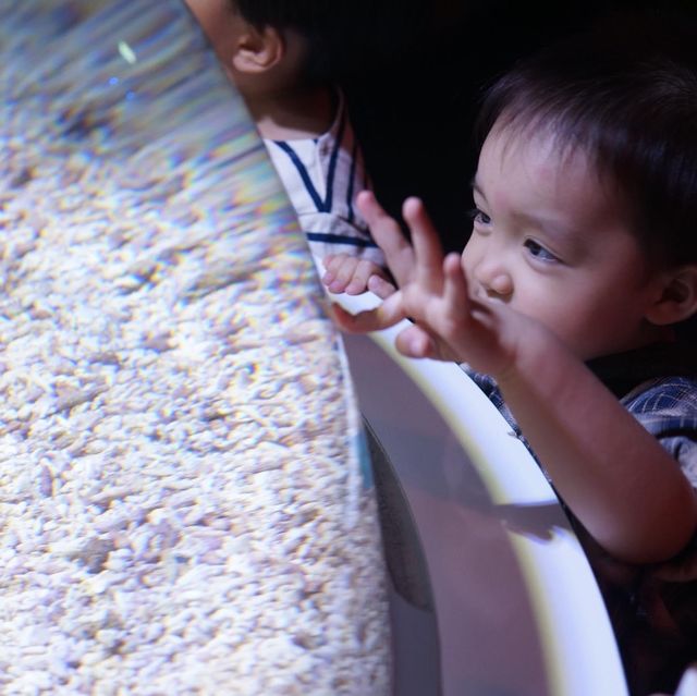 【 可以觀賞到鯨鯊的水族館 】