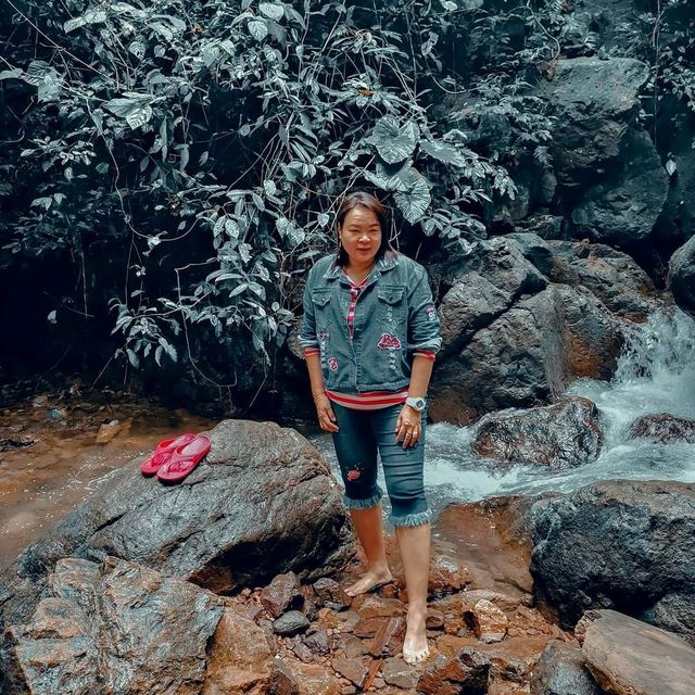 altTitle