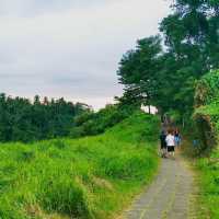 enjoy the lush green while burn calories