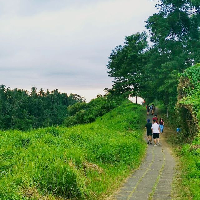 enjoy the lush green while burn calories