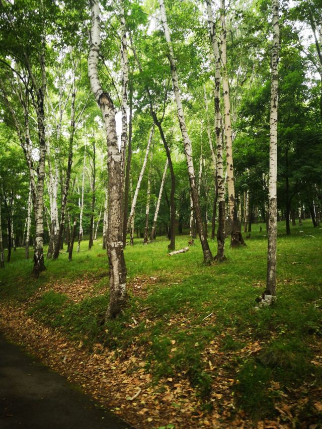 Pingshan Shenlu Tourist Area