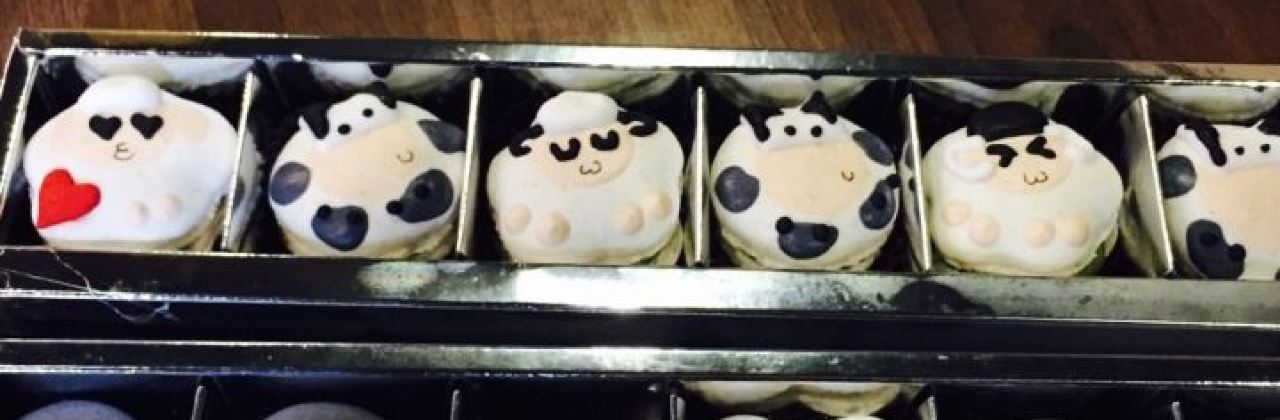 Nina Nina Chocolate Workshop