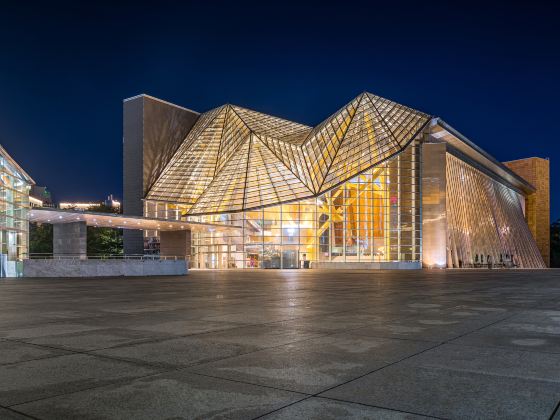 Shenzhen Library