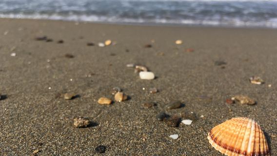 2人起私人導覽紅海灣風車島沙舌尾雞鳴寺一日遊汕尾上門接送