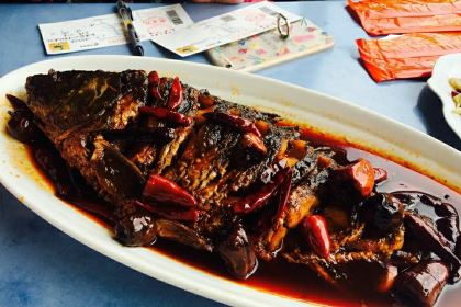 壶口黄河娃土菜鱼村