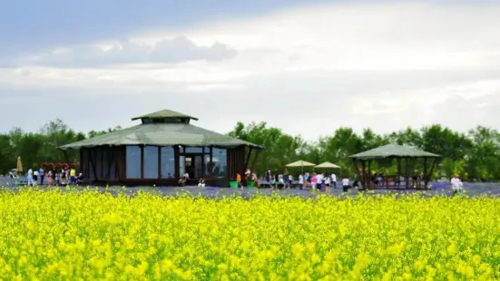 亞心花海主題樂園