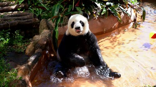 Hainan Tropical Wildlife Park