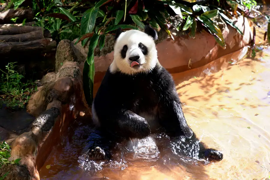 海南熱帯野生動植物園