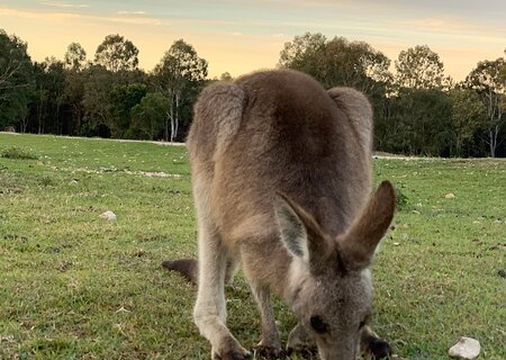 Coombabah Lakes Conservation Area