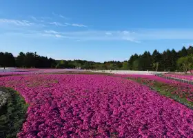 Пейзаж Сянчжоу