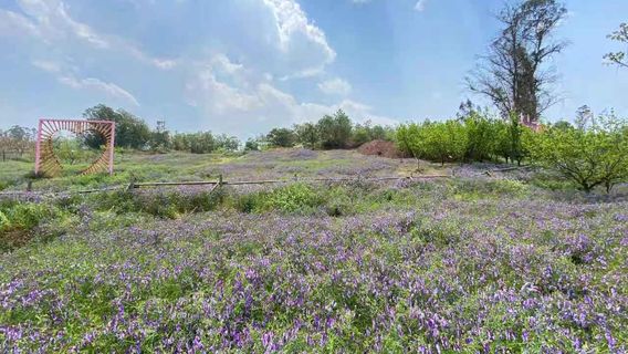 Caoduoduo Forest Ranch
