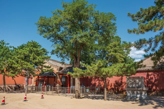 Отзывы об отеле Huiguangmingshe (Guanghua Temple)