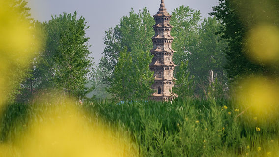 yue ta
