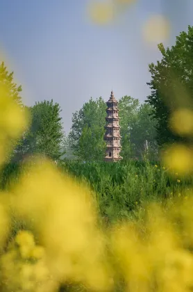 Бутик Отели в г. Шеян